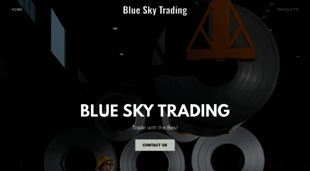 blueskyts.com