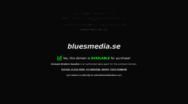 bluesmedia.se