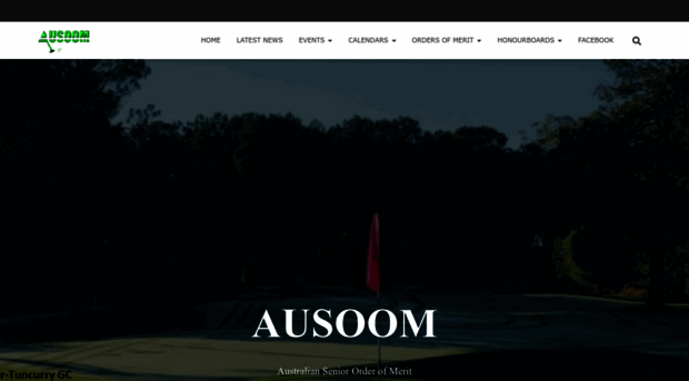 bluesoom.com