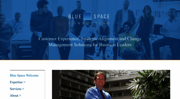 bluespaceconsulting.com