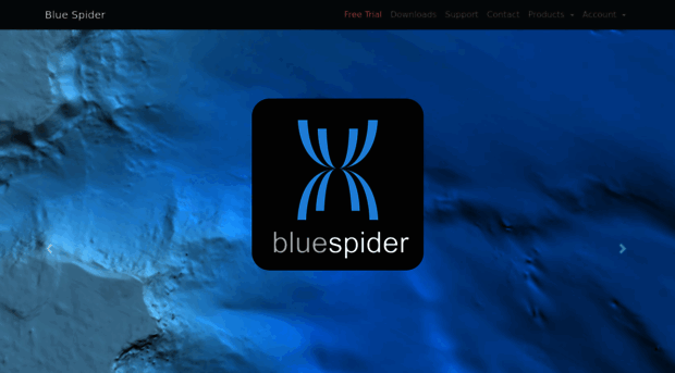 bluespider.im