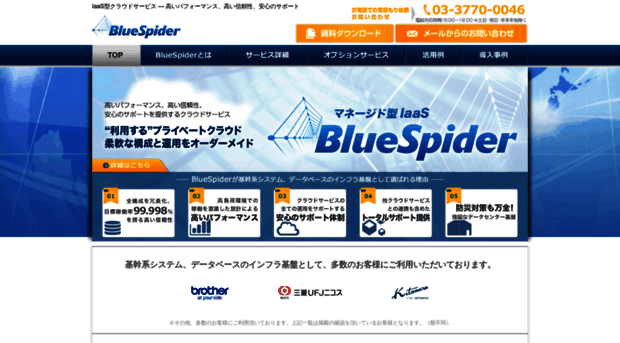 bluespider.jp