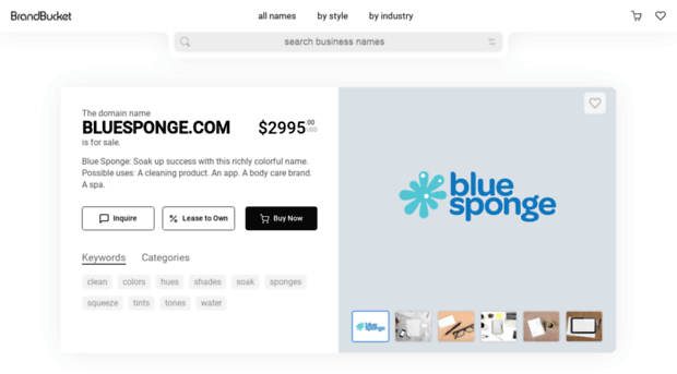 bluesponge.com