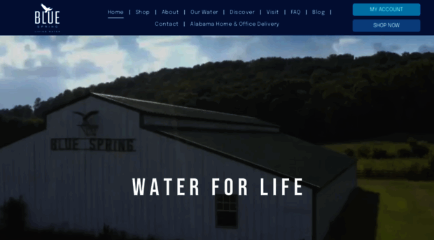 bluespringlivingwater.com