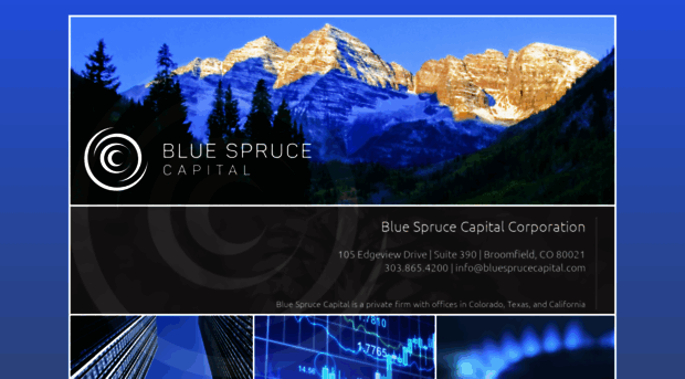 bluesprucecapital.com