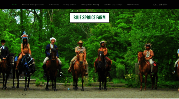 bluesprucehorseriding.com