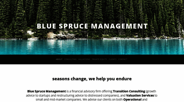 bluesprucemgt.com