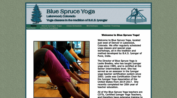 bluespruceyoga.com