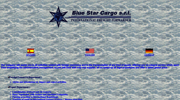 bluestarcargo.com.ar