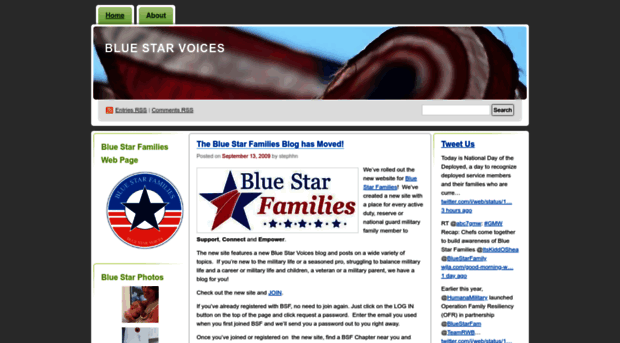 bluestarfamilies.wordpress.com