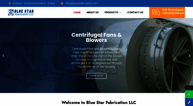 bluestarllcdubai.com