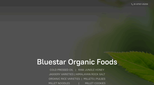 bluestarorganicfoods.ecwid.com