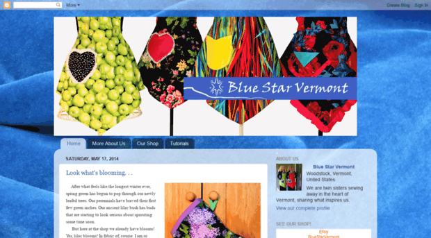 bluestarvermont.blogspot.com