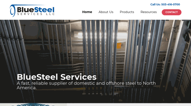 bluesteelservices.com