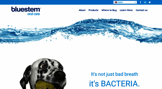 bluestempets.com