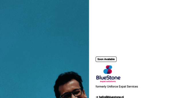 bluestone.nl