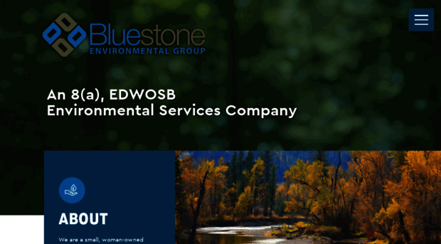 bluestoneenviro.com