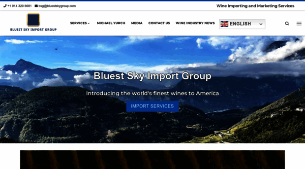 bluestskygroup.com