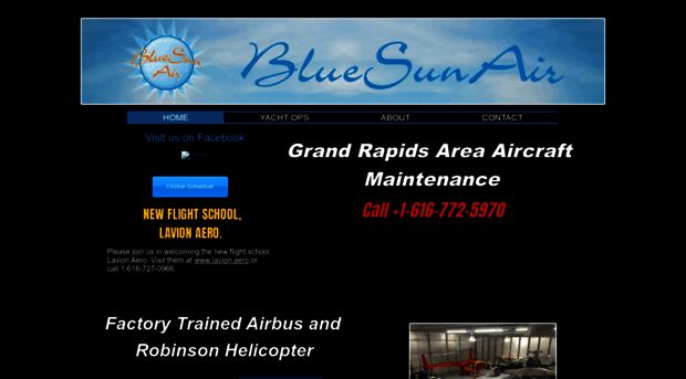 bluesunair.com