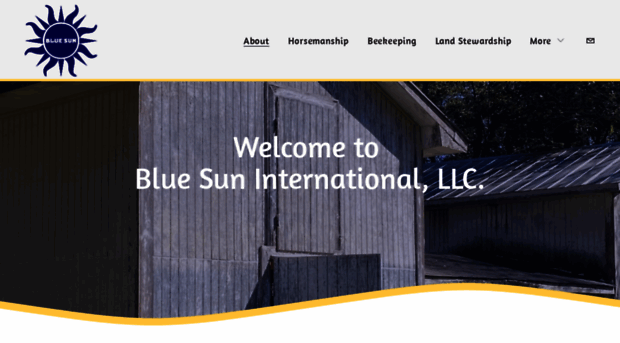 bluesuninternational.com