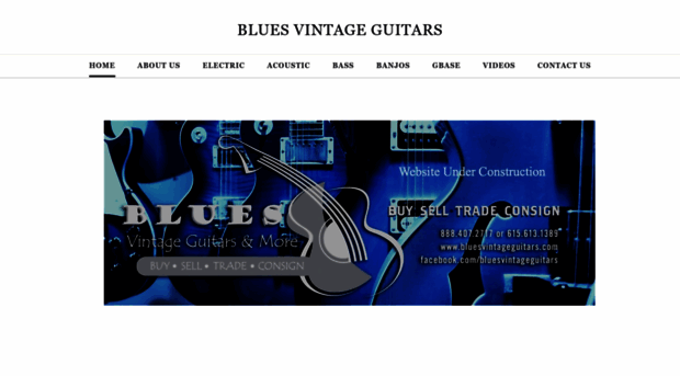 bluesvintageguitars.com