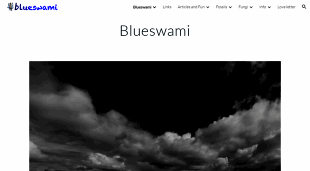 blueswami.com
