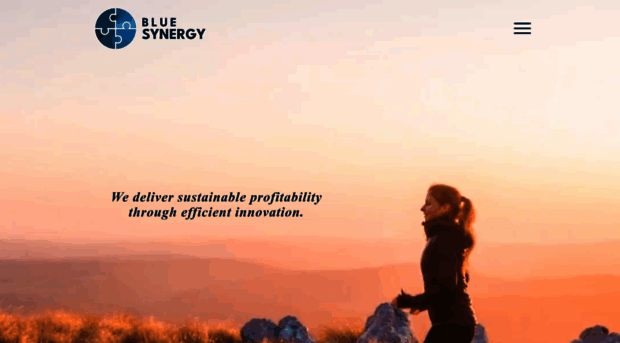 bluesynergy.eu