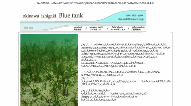bluetank.net