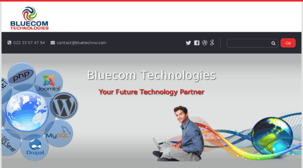 bluetechnw.com