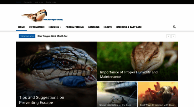 bluetongueskink.org