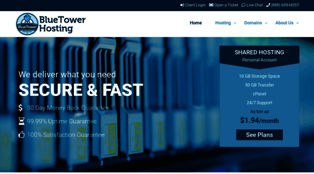 bluetowerhosting.com