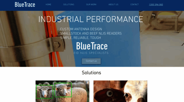 bluetrace.com.au