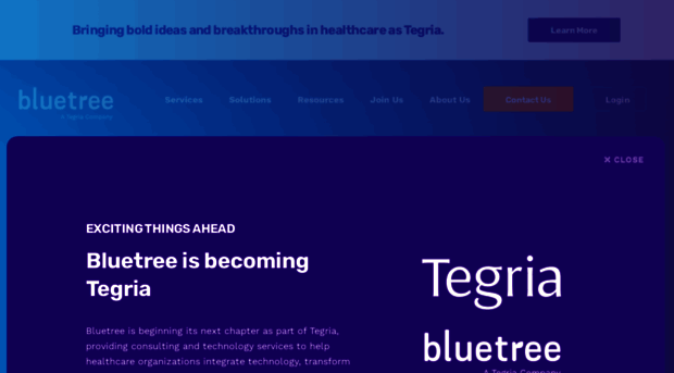 bluetreenetwork.com
