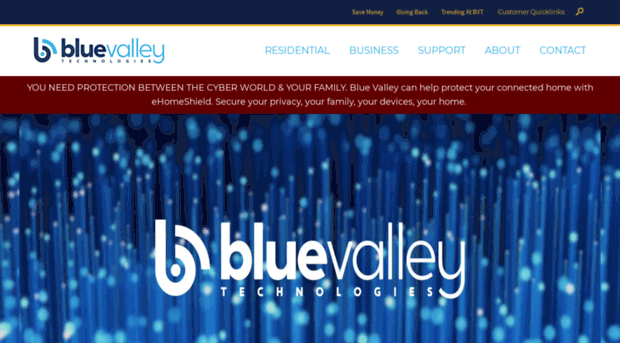 bluevalley.net