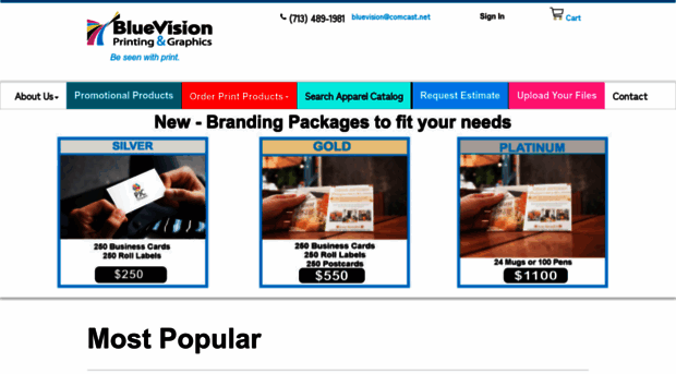 bluevisionprintingandgraphics.com