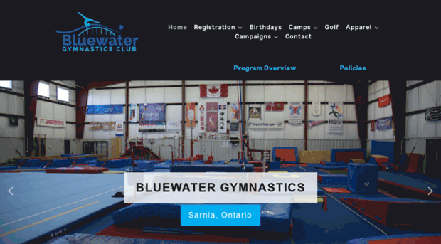 bluewatergymnasticsclub.com