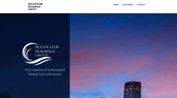 bluewaterholdingsgroup.com