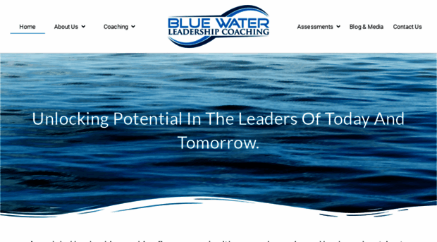 bluewaterleadershipcoaching.com