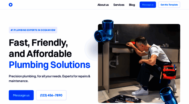 bluewaveplumbing.framer.website