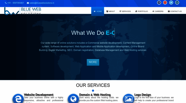 bluewebsolutions.in