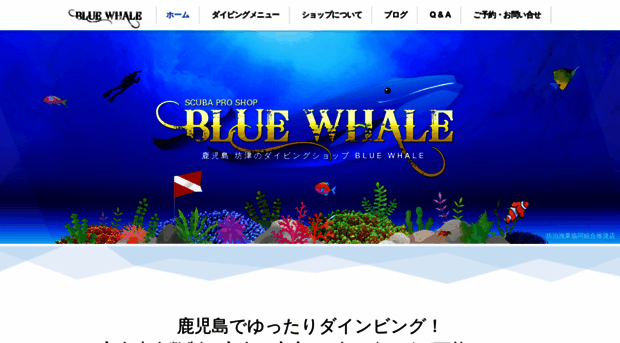 bluewhale-diving.com