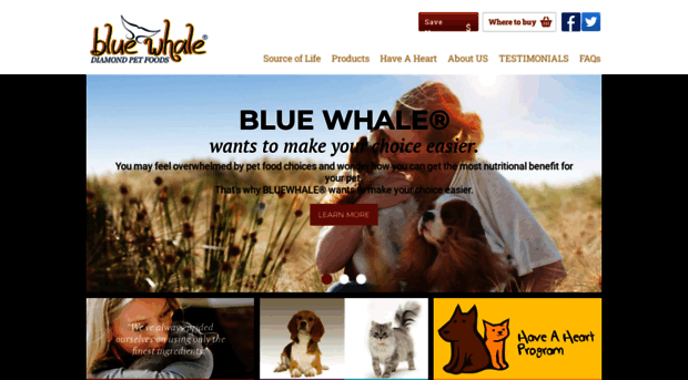 bluewhalepet.com