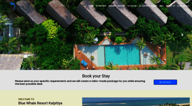 bluewhaleresort.com