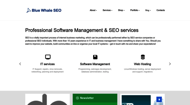 bluewhaleseo.com