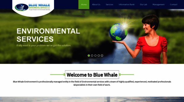 bluewhaleuae.com