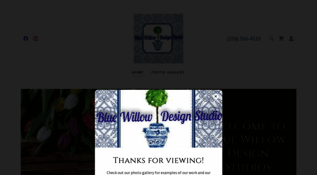 bluewillowdesignstudios.com