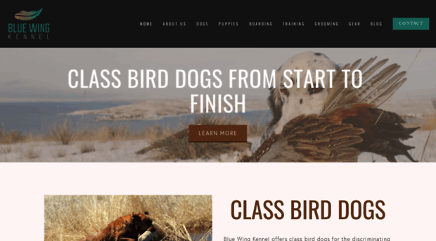 bluewingkennel.com