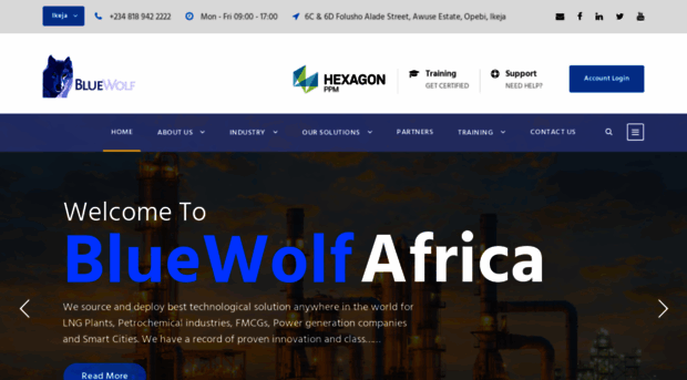 bluewolfafrica.com