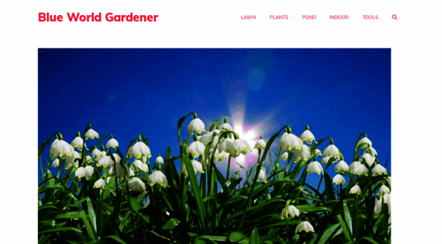 blueworldgardener.co.uk