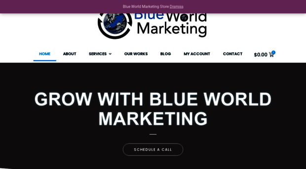 blueworldmarketing.com
